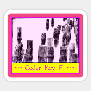 Cedar Key in pink Sticker